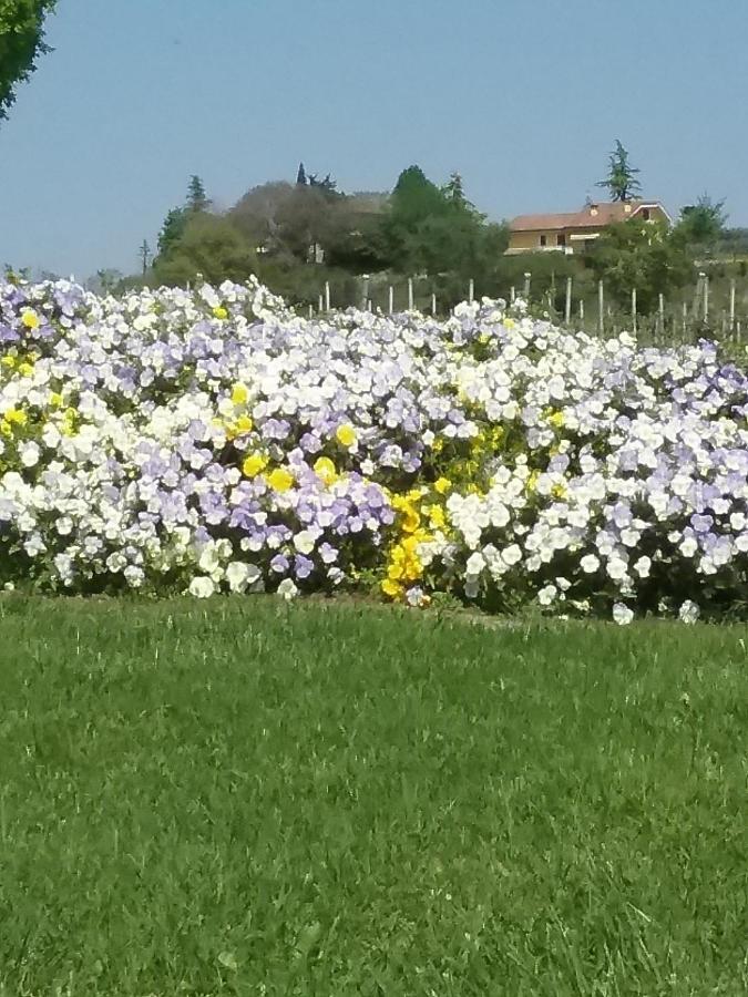Appartamento Filippo Castelnuovo del Garda Εξωτερικό φωτογραφία